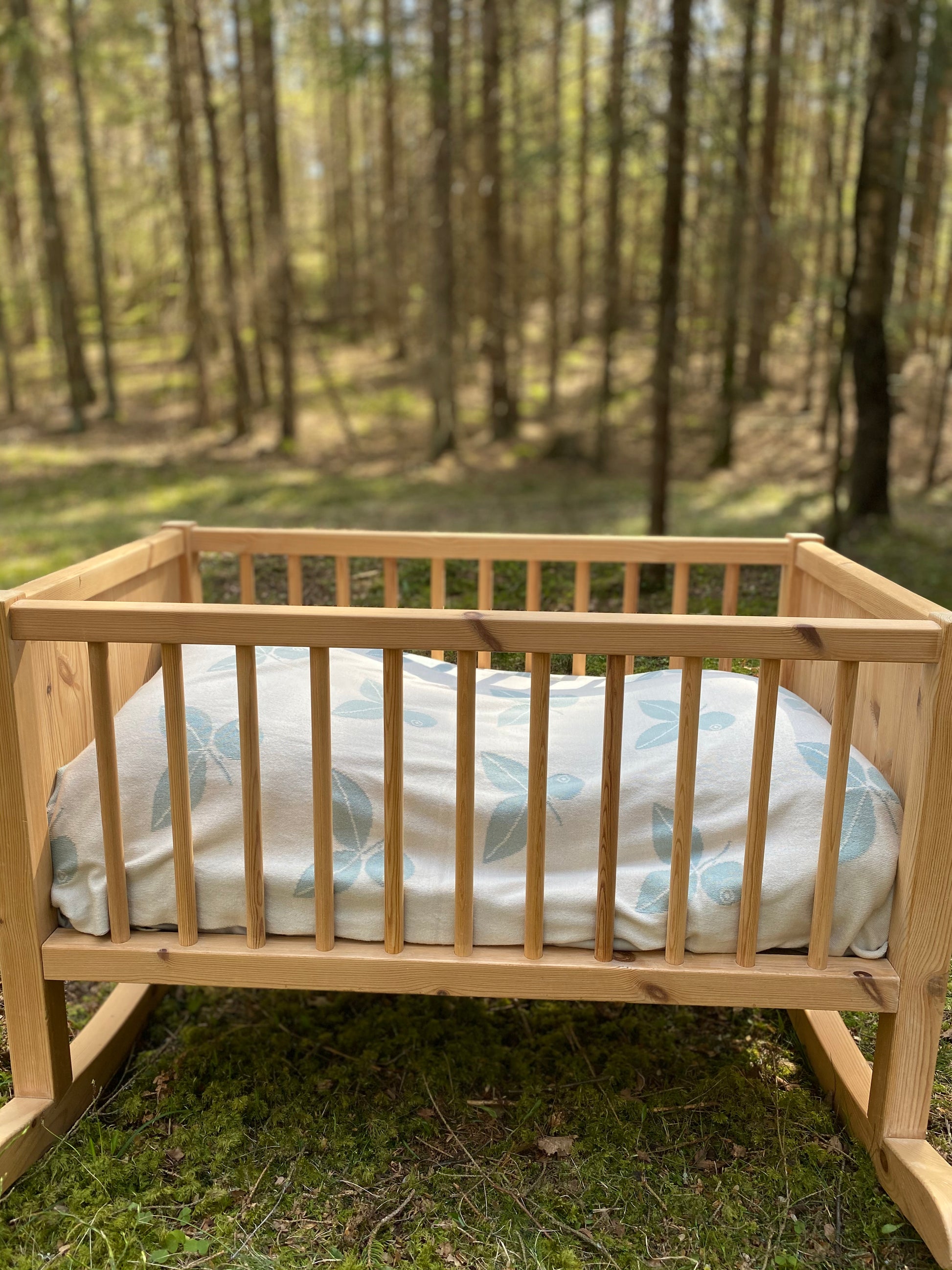 IMG_1388.jpg